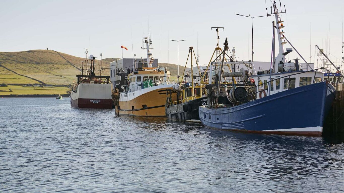 Several fishing boats are docked side by side at a harbor, with a grassy hill and clear sky in the background.
