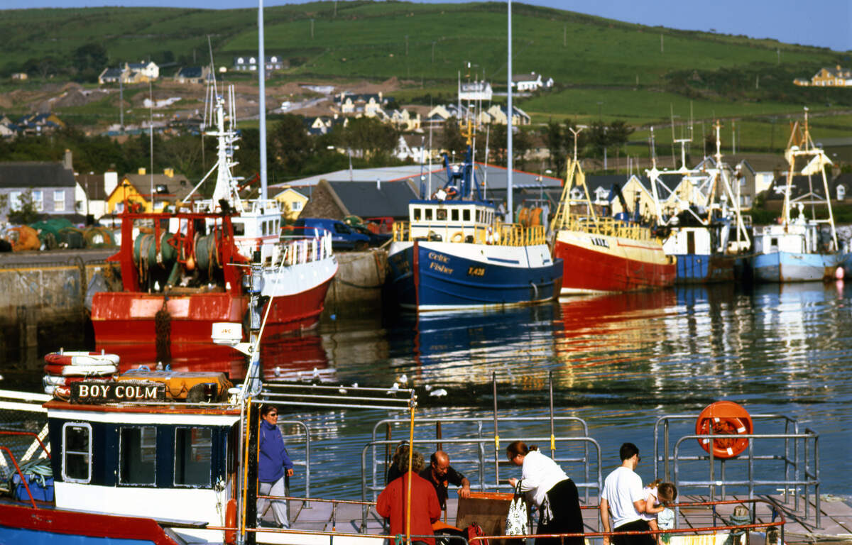 Dingle Harbour, Co_Web Size